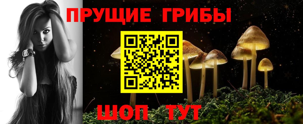Галлюциногенные грибы Magic Shrooms  Вход с VPN  Еманжелинск  Псилоцибиновые грибы Cubensis 